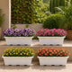 Go Hooked Jupiter Window Planter Pot Pack of 4 | 24 Inch White Plastic Rectangular Plant Pot for Indoor Outdoor Gardening Balcony Terrace Décor | Large Decorative Flower Container L61 x W27 x H22 Cm