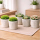 Go Hooked Plastic Flower Pot for Indoor Plants (4 Inch, Pack of 5) | Decorative Ribbed Planter for Home, Office, Desk & Tabletop | Marble Finish Modern Indoor Plant Pot for Succulents & Small Plants