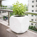 GoHooked white plastic Tulsi plant pot with Hindu religious symbols, perfect for home or pooja room.