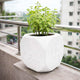 Go Hooked Premium Plastic Tulsi Plant Pot for Home & Pooja Room | 17.5 cm Square Designer Planter with Hindu Religious Symbols | Lightweight & Durable Indoor Outdoor Flower Pot (White)