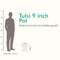GoHooked white plastic 9-inch square Tulsi pot with Om and Swastik design, perfect for home temple or balcony decor.
