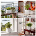 Go Hooked white square plastic Tulsi plant pot with Hindu symbols, 17.5 cm, for home and pooja room.