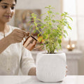GoHooked white square plastic Tulsi pot with embossed Hindu symbols, 17.5cm, for home and pooja room.