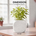 GoHooked white square plastic Tulsi pot with embossed Hindu symbols and Jai Shri Ram text. 17.5 cm.