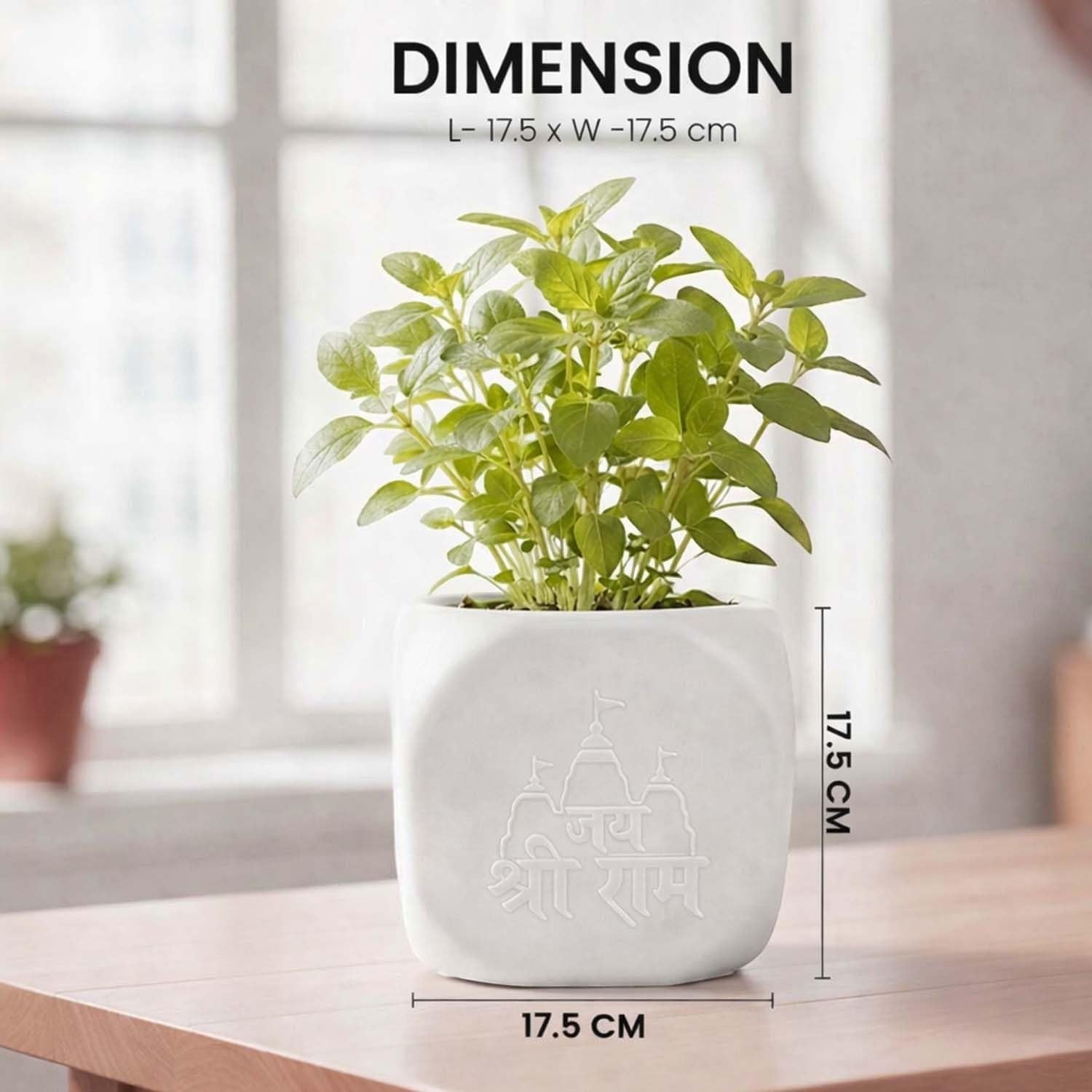 GoHooked white square plastic Tulsi pot with embossed Hindu symbols and Jai Shri Ram text. 17.5 cm.