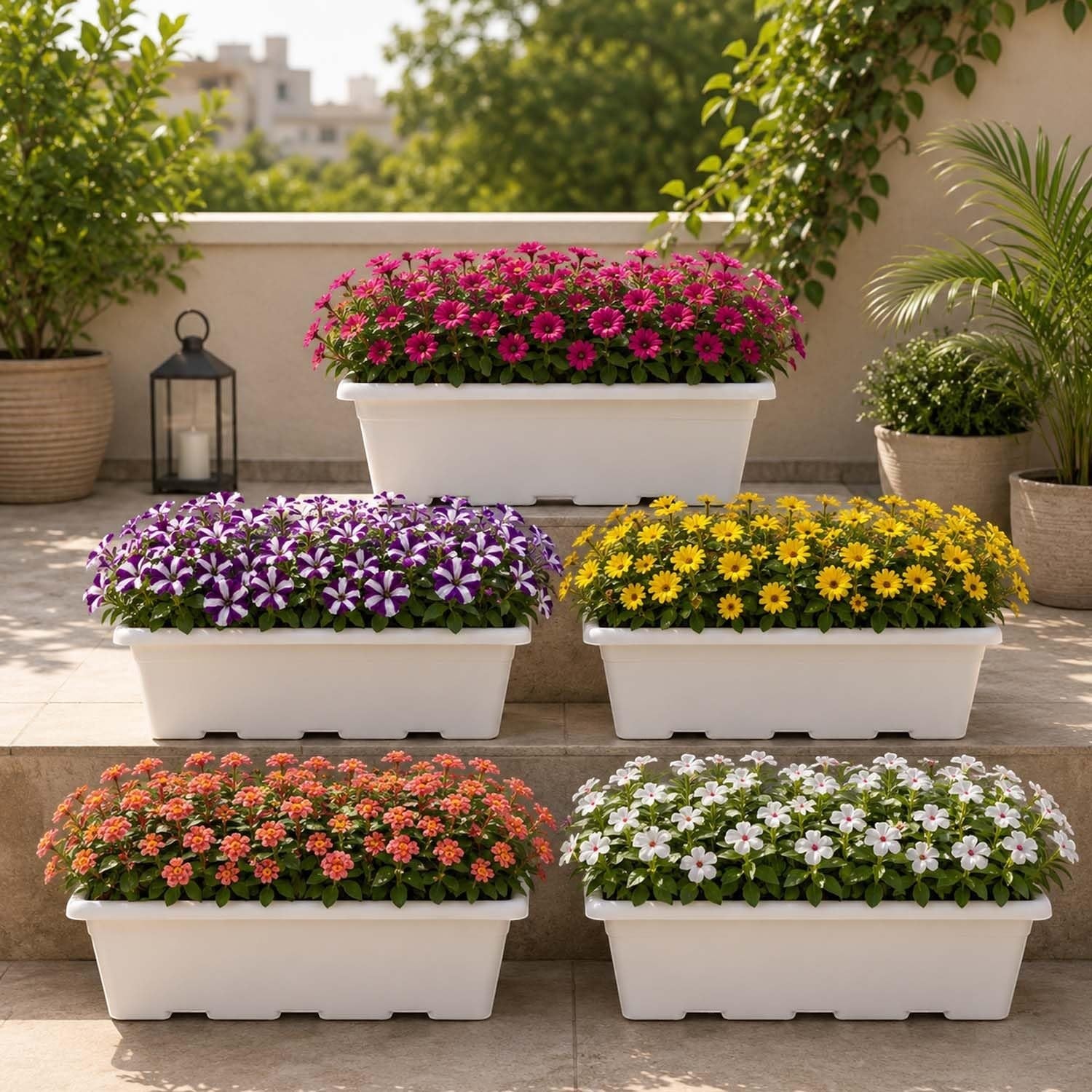 GoHooked white plastic rectangular window planter pots filled with colorful flowers on a balcony.