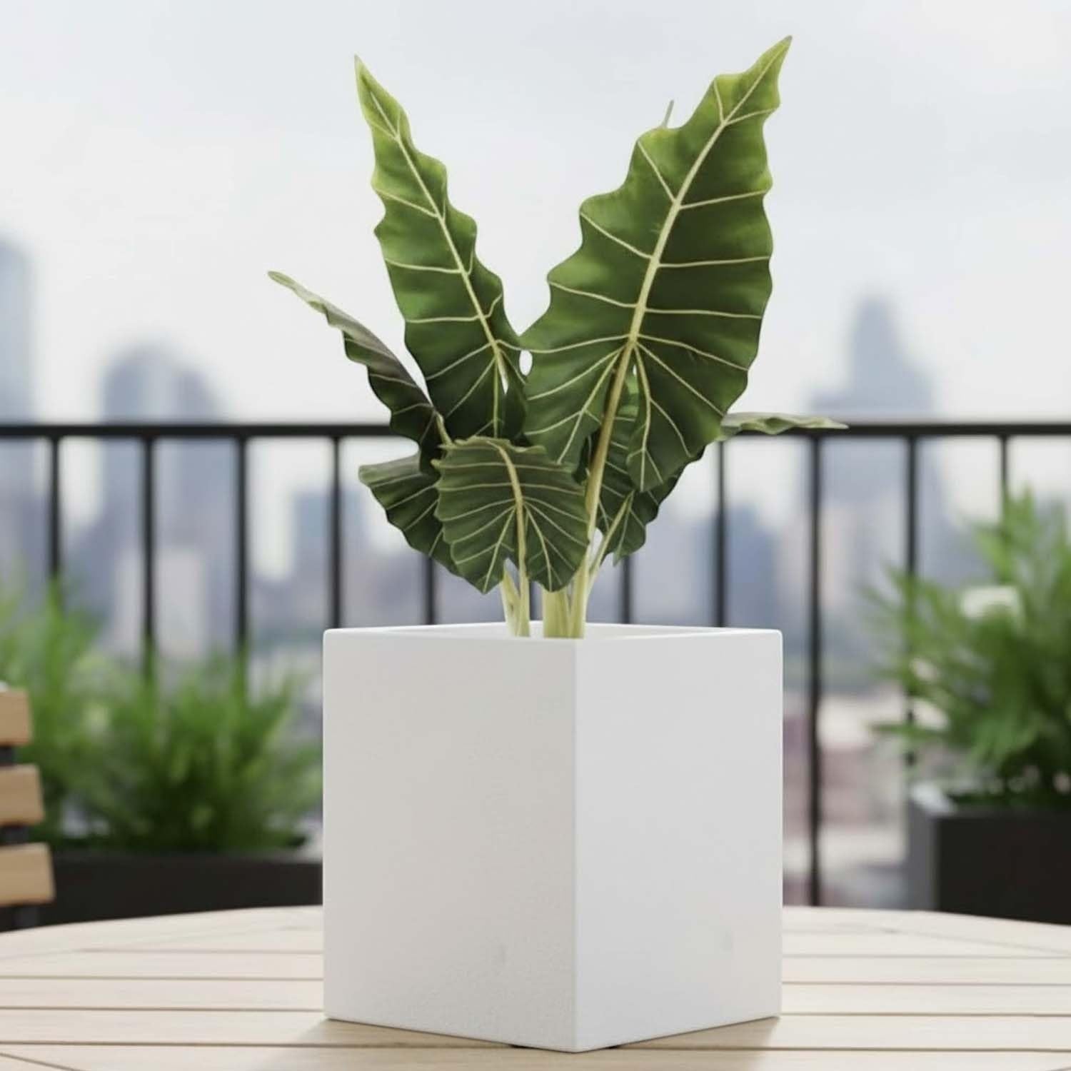 GoHooked 12-inch white polymer cube planter with a large green plant on a balcony.