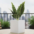 Go Hooked 15-inch white polymer cube planter with a modern design, perfect for indoor or outdoor use.