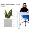 Go Hooked 15-inch white polymer cube planter with a large green plant. Modern design, perfect for indoor or outdoor use.
