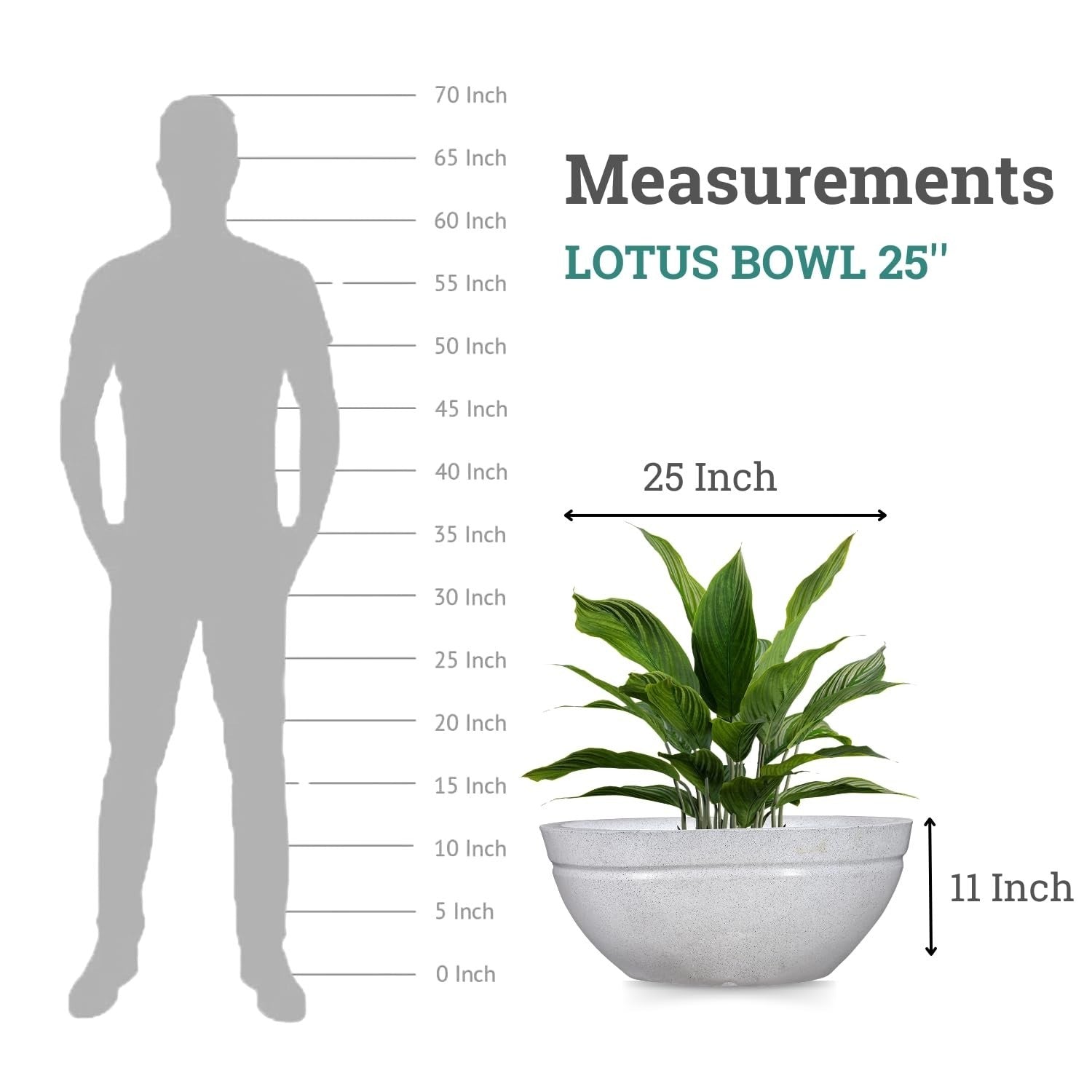 GoHooked white polymer lotus bowl planter, 25 inch diameter, 11 inch height, with drainage option. Shown with a plant and beside a human silhouette for scale.