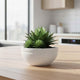 Go Hooked Lotus Bowl 18 Inch Big Flower Pot for Plants | Outdoor & Indoor Planter for Balcony, Terrace & Garden | Weather-Resistant, Lightweight, Durable Polymer Pot with Drainage Option (White)