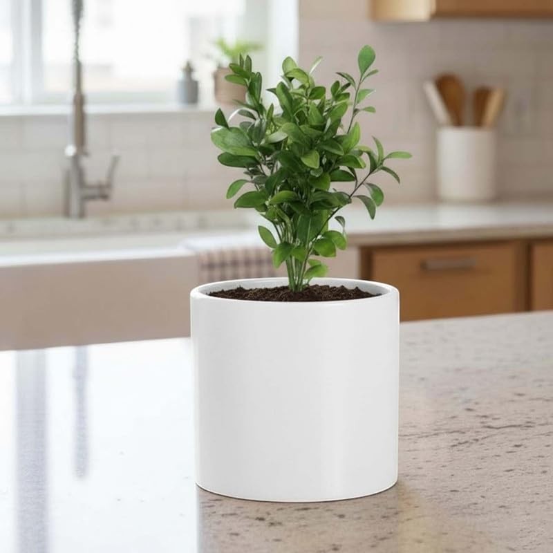Go Hooked white 12-inch round polymer planter with a small green plant on a kitchen counter.