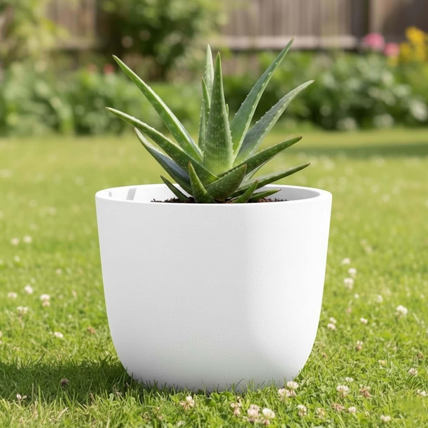 Go Hooked 15 inch round white polymer planter with aloe plant on grass