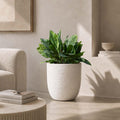 GoHooked 18-inch white textured polymer planter with a large green plant, perfect for indoor or outdoor decor.