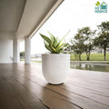 GoHooked 18 inch white polymer planter with a textured finish, holding a snake plant on a wooden deck.