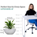 GoHooked white polymer lotus bowl planter, 18 inch diameter, with drainage option. Perfect for indoor or outdoor plants.