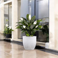 GoHooked white polymer planter with a modern, minimalist design, featuring a peace lily plant.