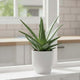 Go Hooked Home Decor Planter 10 Inch for Home & Office | Modern Indoor Planter for Living Room, Bedroom & Balcony | Decorative Planter Perfect for Artificial & Live Plants (Pluto Pot, White)