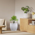 GoHooked Pluto 15-inch white polymer planter pot with a modern round design and drainage hole, holding a palm plant.
