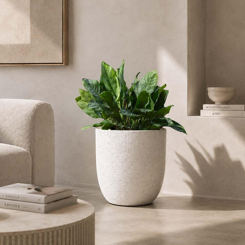 Go Hooked 12-inch white textured polymer planter pot with a lush green plant, perfect for modern decor.