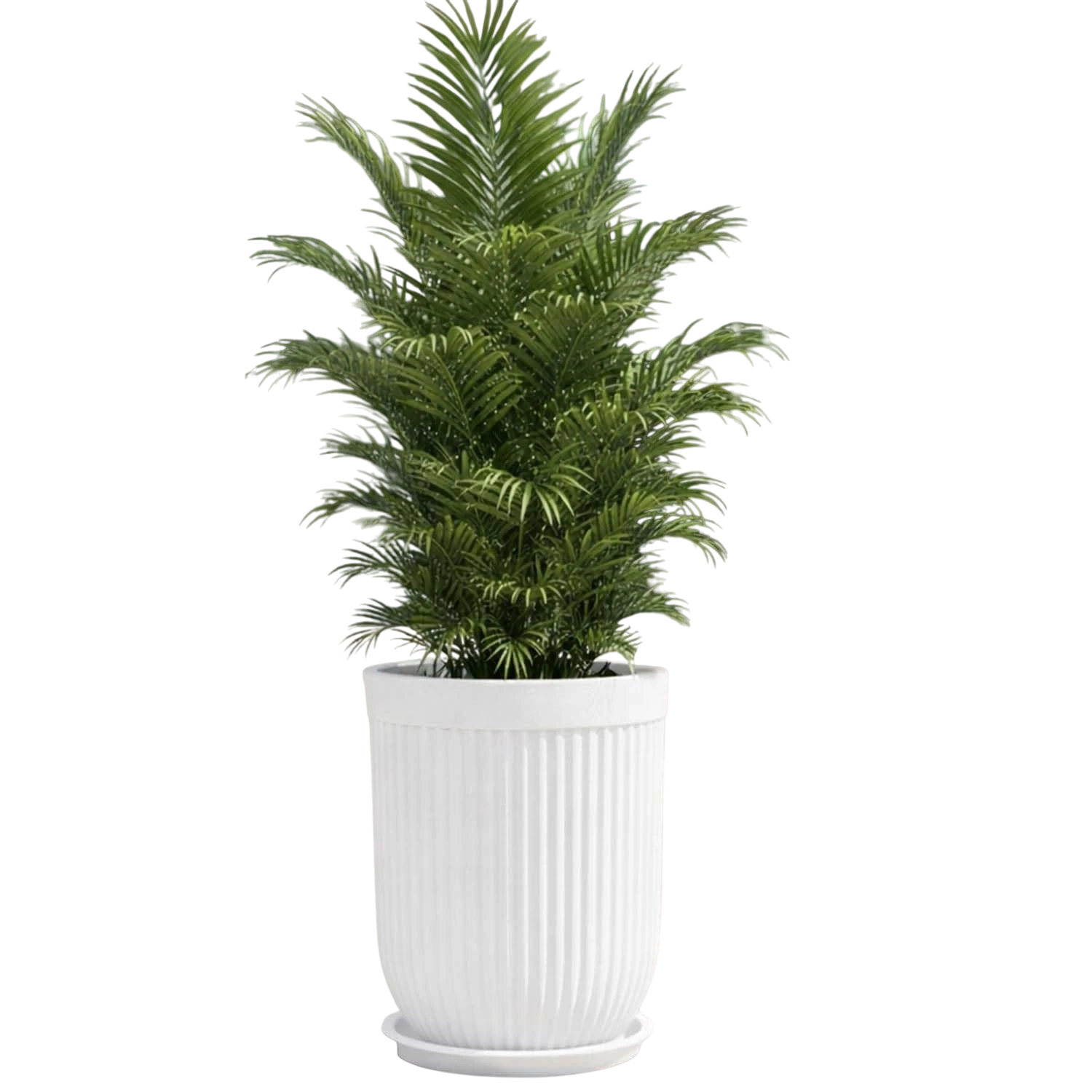GoHooked white polymer planter with ribbed design and matching saucer, holding a lush green plant. 18-inch size.