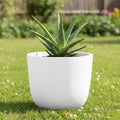 Go Hooked 24 inch white polymer round planter with aloe vera plant on grass