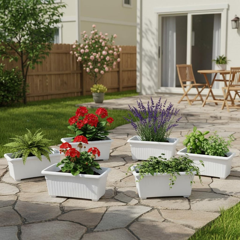 GoHooked white rectangular plastic plant pots, pack of 6, ideal for home, window display, or garden.