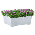 GoHooked white rectangular plastic planter pot filled with green foliage and small pink flowers. Ideal for home or garden.