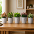 GoHooked set of five white marble-textured ribbed plastic planter pots with various indoor plants on a wooden desk.