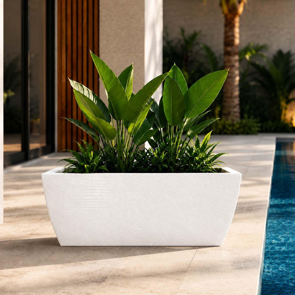 GoHooked white rectangular polymer planter with ribbed texture, 24x11 inches, featuring lush green plants.