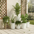 Go Hooked white ribbed plastic planter pots with various indoor plants on a patio.
