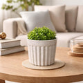 GoHooked white ribbed plastic flower pot with marble finish, holding a small green plant on a wooden table.