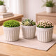 Go Hooked Plastic Flower Pot for Indoor Plants (4 Inch, Pack of 3) | Decorative Ribbed Planter for Home, Office, Desk & Tabletop | Marble Finish Modern Indoor Plant Pot for Succulents & Small Plants