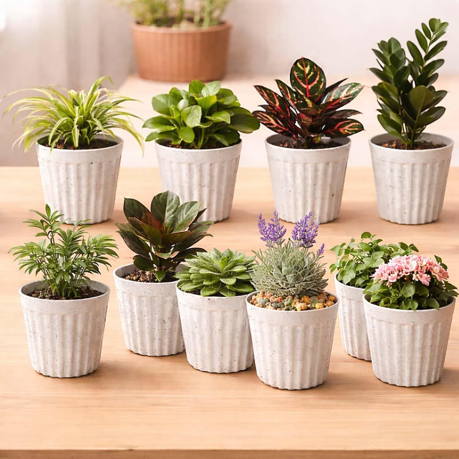 GoHooked white ribbed plastic indoor plant pots with marble finish, pack of 10, perfect for succulents and small plants.