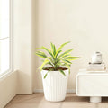 Go Hooked white ribbed plastic planter pot with a green plant inside, perfect for indoor or outdoor use.