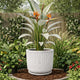 Go Hooked Cosmic Round Planter Pot with Tray (15X14 Inch White) | Granite Speckled Ribbed Polymer Design | Large Decorative Plastic Flower Pot for Indoor Outdoor Plants, Balcony & Home Garden Décor