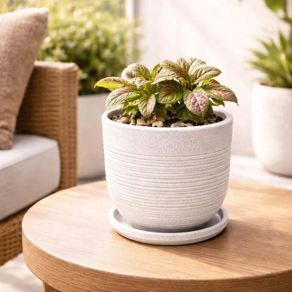 GoHooked white polymer planter pot with textured ribbed design and matching saucer, 10 inch size.
