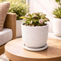 GoHooked white polymer planter pot with textured ribbed design and matching saucer, 10 inch size.