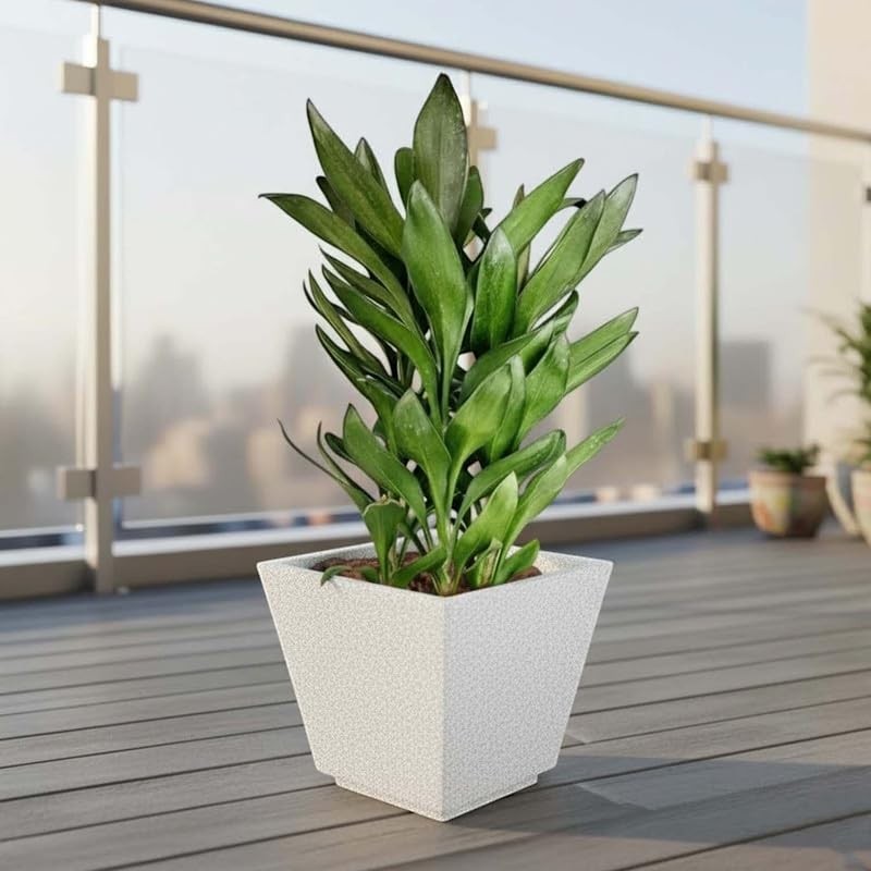 Go Hooked 10-inch white square polymer planter with a textured finish, featuring a drainage hole and UV resistance for indoor/outdoor use.