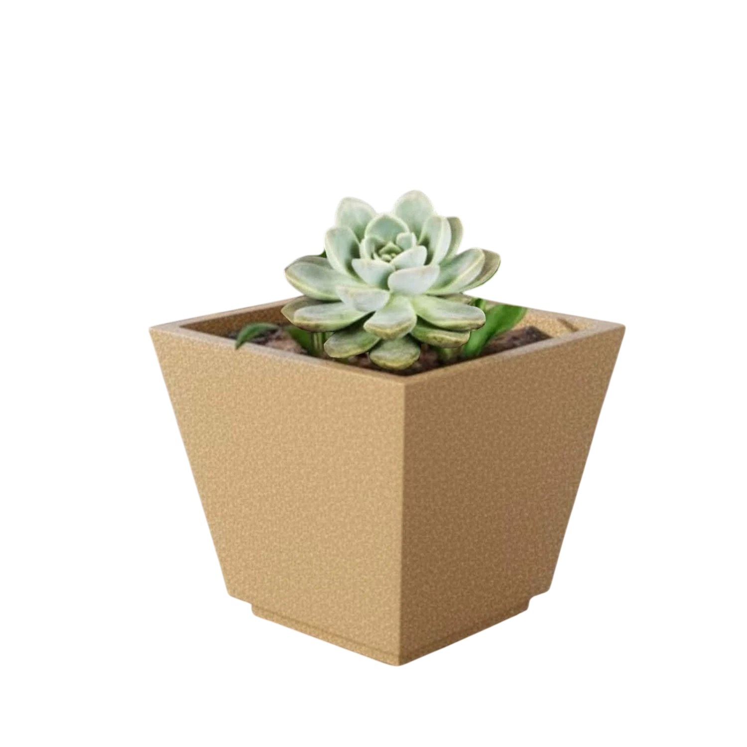GoHooked 15-inch white square polymer planter with a succulent plant. Lightweight, UV-resistant, and durable for indoor/outdoor use.