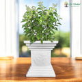 Go Hooked 16 inch white traditional decorative planter with Om symbol, perfect for home, pooja, balcony, and garden.