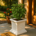 GoHooked white square plastic Tulsi pot with Om and Swastik design, 12 inch, for home temple and pooja decor.