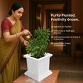 GoHooked white square plastic Tulsi pot with Om & Swastik design, 12 inch, for home temple and pooja decor.