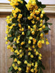 VIMIFORYOU Artificial Rose Orchid Flowers Bunch | Orchid Hanging Flowers Decoration|Artificial Flower for Home D?cor Wall Hanging (Pack of 1 Pc, Yellow)