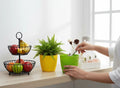 Go Hooked yellow and green textured plastic flower pots, 5.5 inch, pack of 3. Ideal for indoor/outdoor use.