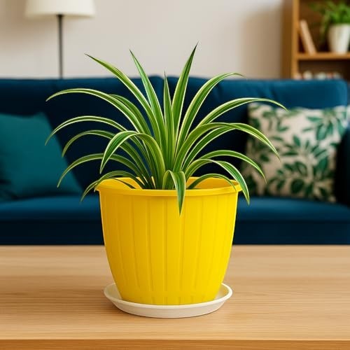 GoHooked yellow 8-inch plastic flower pot with tray, ideal for indoor/outdoor gardening. Made from durable polypropylene.
