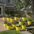 Go Hooked yellow plastic Duro flower pots, 10-inch, pack of 12, for indoor/outdoor gardening.