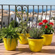 GoHooked Set Of Four Yellow Plastic Planters