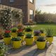 Set of 10 Yellow Plastic Plant Pots