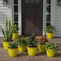 GoHooked set of 10 yellow plastic plant pots with ribbed texture and drainage holes. Ideal for gardens and patios.